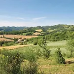 Fico, Oliva, Mora * Calzolaro