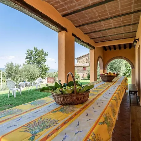 Fico, Oliva, Mora Calzolaro