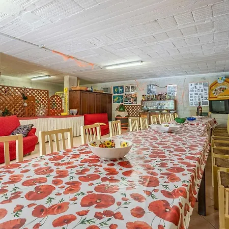 Daire Fico, Oliva, Mora *