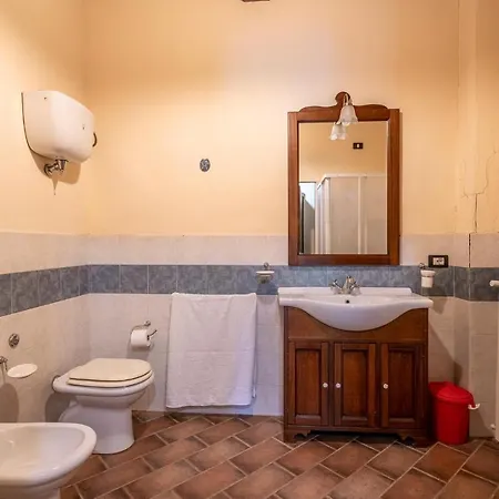 Fico, Oliva, Mora Calzolaro