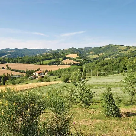 Fico, Oliva, Mora * Calzolaro