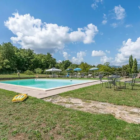 Fico, Oliva, Mora Calzolaro